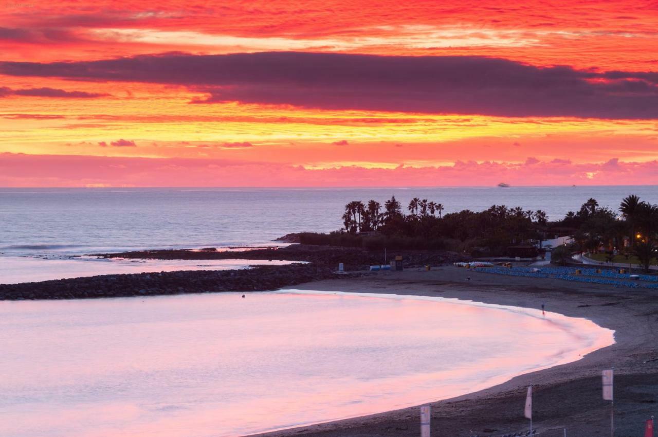 Amazing Beach Views Tenerife 阿罗纳 外观 照片